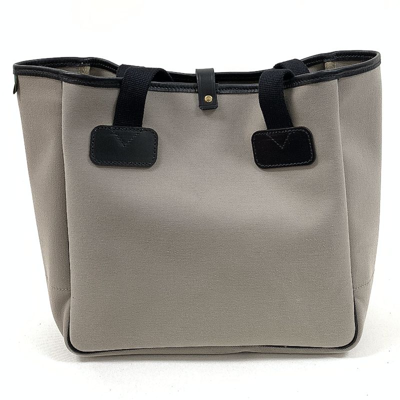 Extra Small Carryall Tote Bag in Canvas